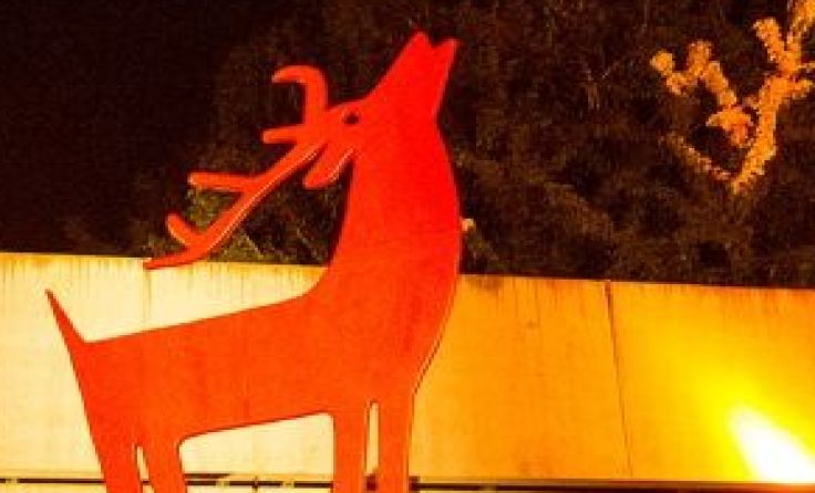 Das diesjährige Viertelfestival findet im Waldviertel statt. Foto: Dieter Werderitsch