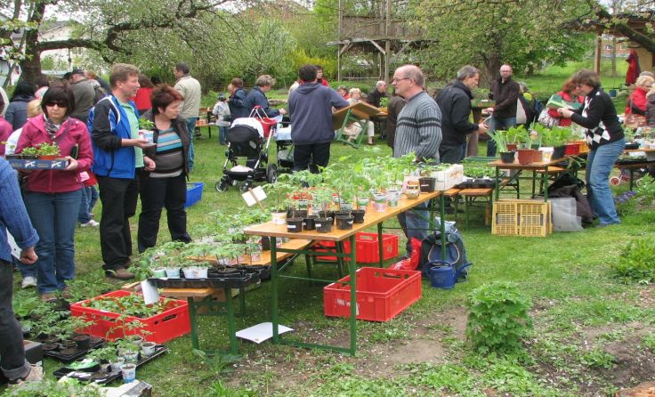 Der Pflanzenmarkt lädt zum schauen, tauschen und kaufen ein. Foto: Hochreiter