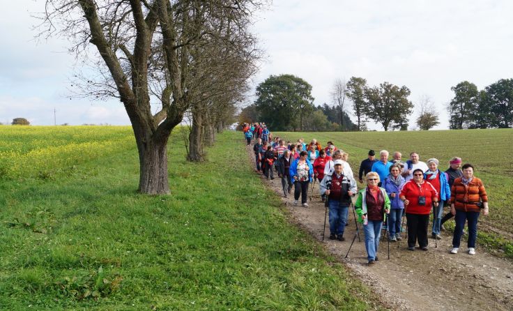 Eine tolle Wanderung rund um Pergkirchen. Foto: MV Pergkirchen