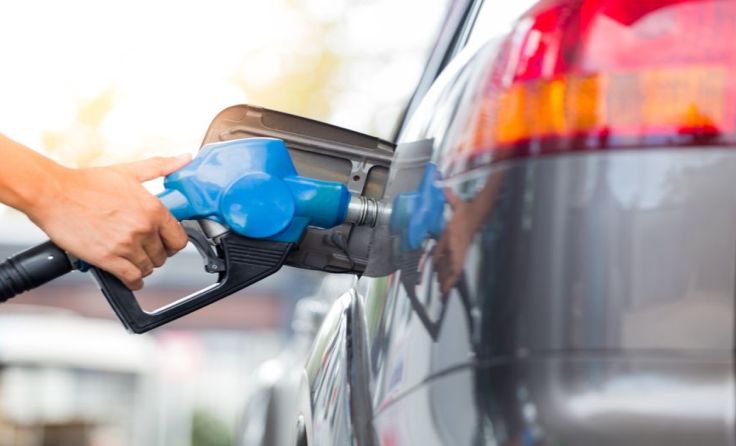 Foto: Papzi555/Shutterstock.com