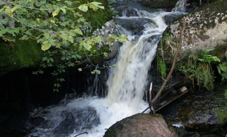 Wandern durch den Höllgraben. Foto: SPÖ
