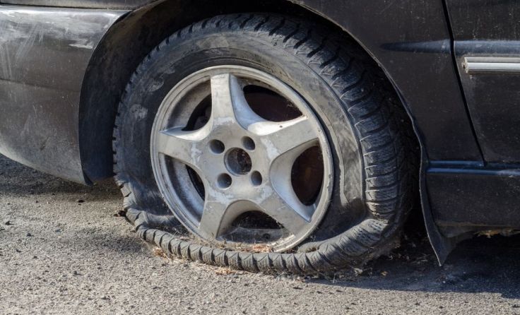 Foto: Lutsenko_Oleksandr/Shutterstock.com