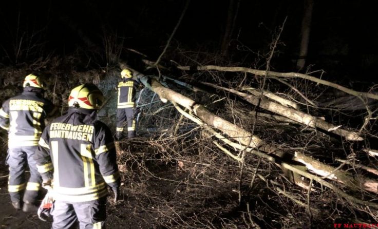 Im Bereich von Wäldern häuften sich die Einsätze. Foto: FF Mauthausen