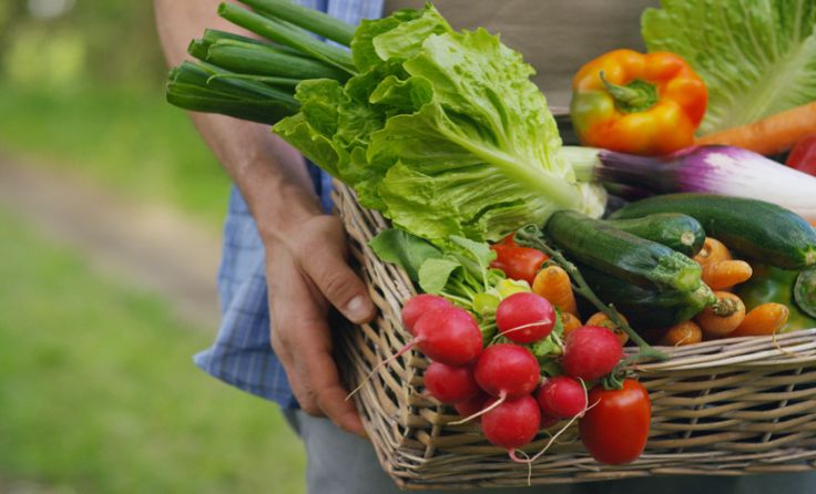 Heimische Produkte stehen für Saisonalität. Foto: HQuality/Shutterstock.com