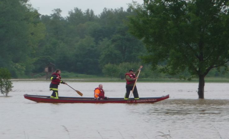 Bis zu 20 Prozent kann ein Hochwasser verringert werden. Foto: Renoldner