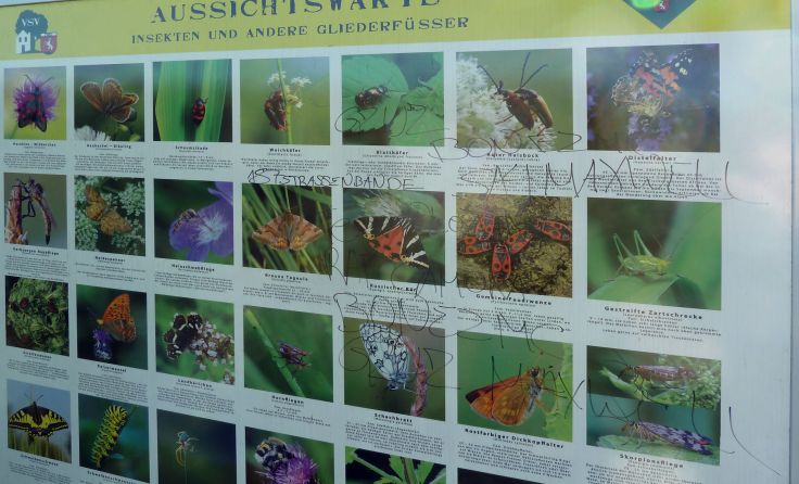 Auch das Schaubild wurde beschmiert und verunstaltet. Foto: Verschönerungsverein Perg