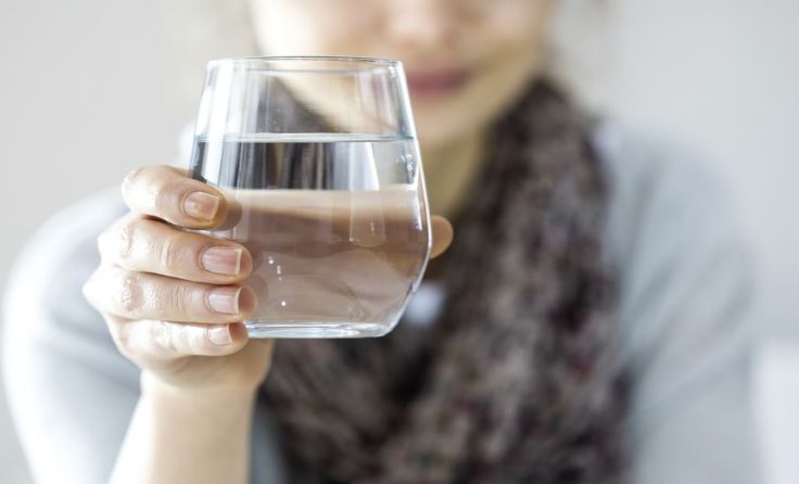 Foto: Von sebra/Shutterstock.com