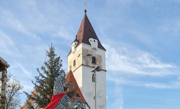 Fachhochschul-Dekan Christian Stark. Foto: Stark