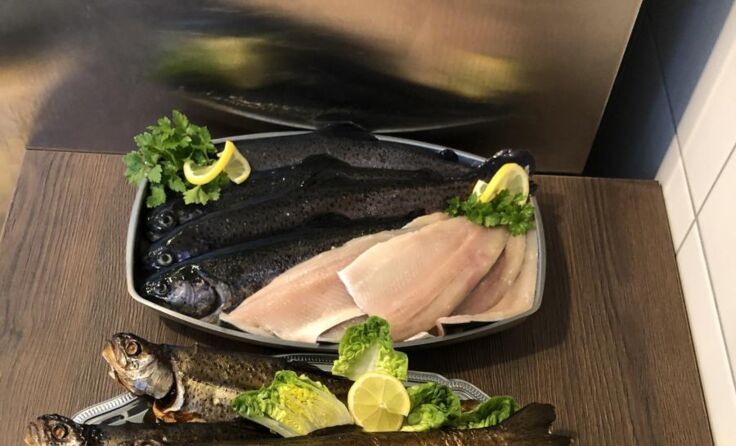 Das breite Fisch-Sortiment bereichert alle 14 Tage den Perger Wochenmarkt. (Foto: privat)