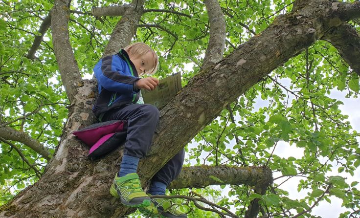 Die Kinder sollen sich bestmöglich entfalten und entwickeln können. Foto: Diwold