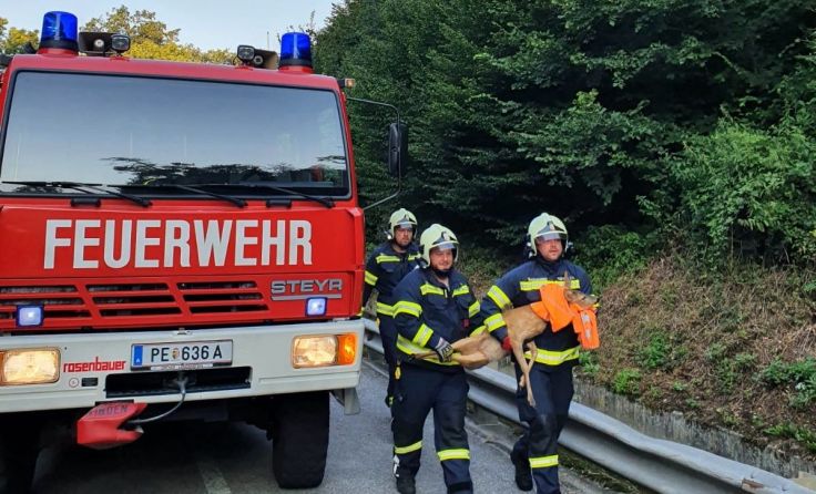 (Foto: FF St. Georgen an der Gusen)