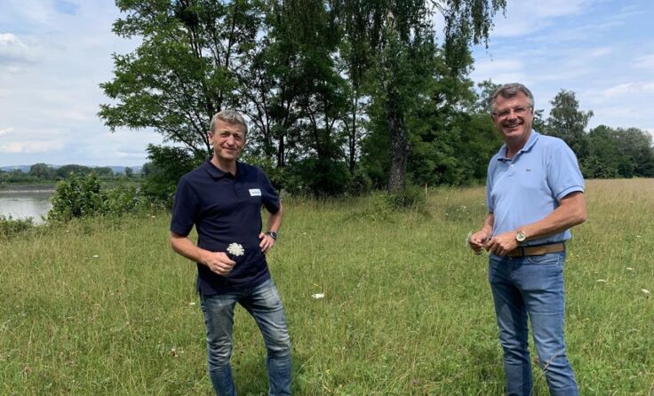 Gerhard Scherzenlehner (re.) auf der Blumenwiese beim Kraftwerk. (Foto: Verbund)