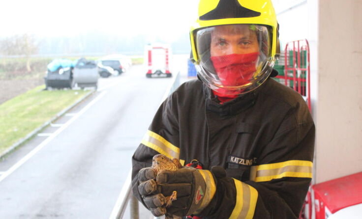 (Foto: FF Haid)