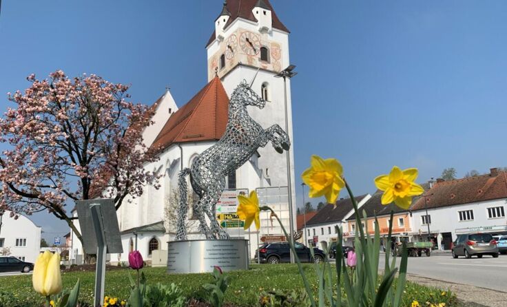 Gleich für die Bezirksstadt auf tips.at voten. (Foto: mai)