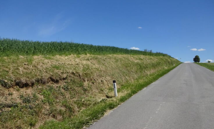  (Foto: Dammayr)