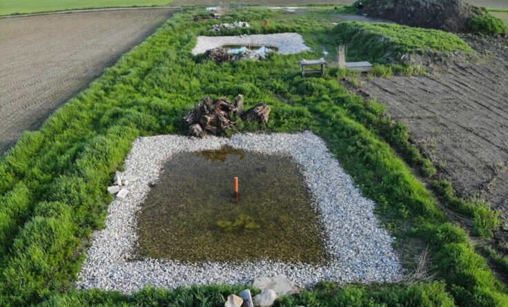 So sieht das Naturparadies für zahlreiche Tiere in Naarn aus. (Foto: Hölzl)