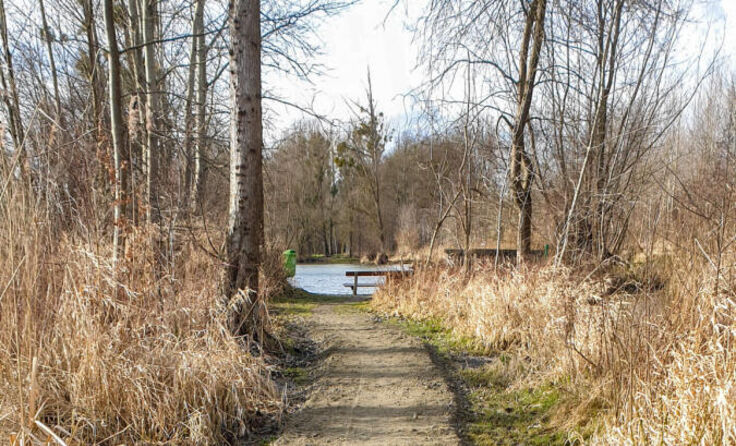 Der Aulehrpfad ist wieder in seiner vollen Länge begehbar. (Foto: Michael Zobl)