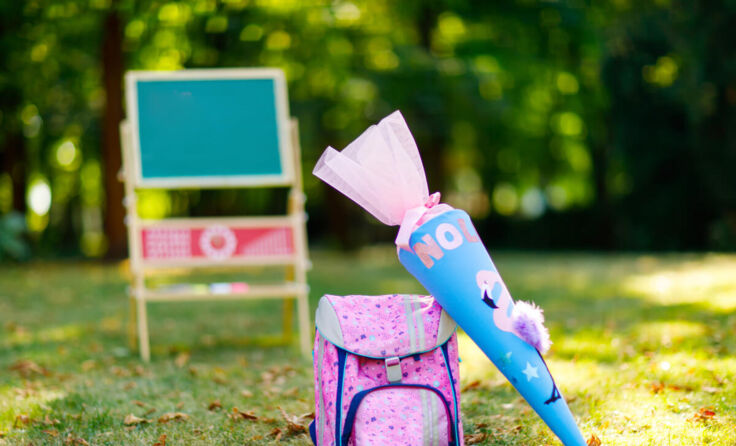  (Foto: Irina Wilhauk/Shutterstock.com)
