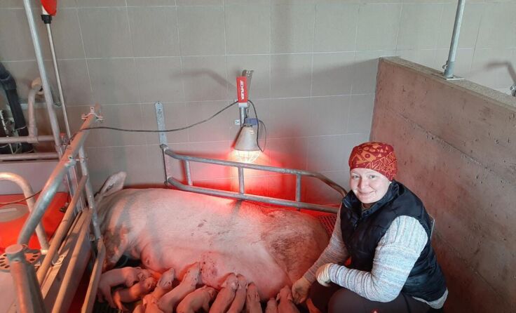 Katrin Schober vom Bäuerinnenteam Naarn bei der Betreuung ihrer Schweine. (Foto: Schober)