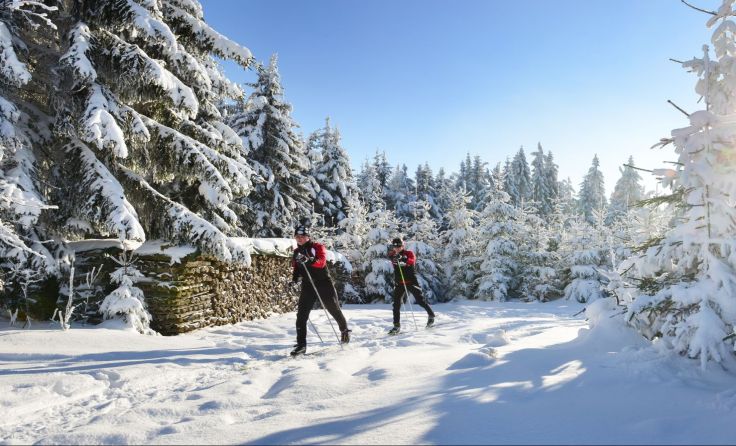 Langlaufen: das ideale Ganzkörper-Training Foto: OÖ Tourismus/Röbl