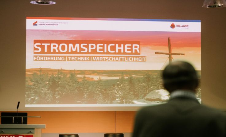 Das Thema Stromspeicher fand großen Anklang. Foto: Siegfried Stöbich