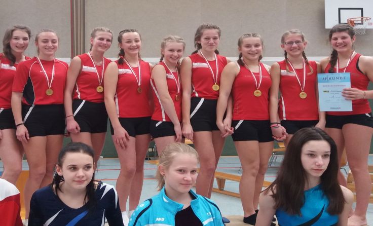 Die erfolgreichen Turnerinnen der Sportmittelschule Niederwaldkirchen.