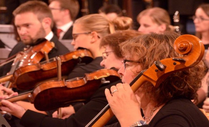 Das NordwaldKammerorchester gastiert am 7, Juli in Kollerschlag. Foto: NWKO