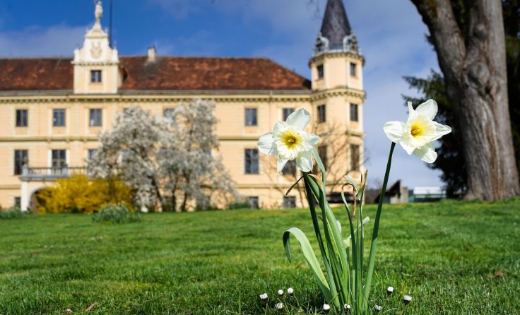 Frühlingshafte Lebensfreude in Puchberg (Foto: Schloss Puchberg)