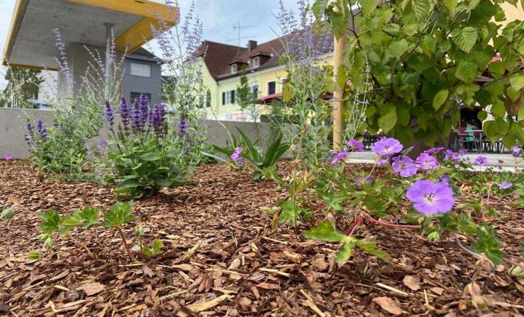 Foto: Archiv Attnang-Puchheim