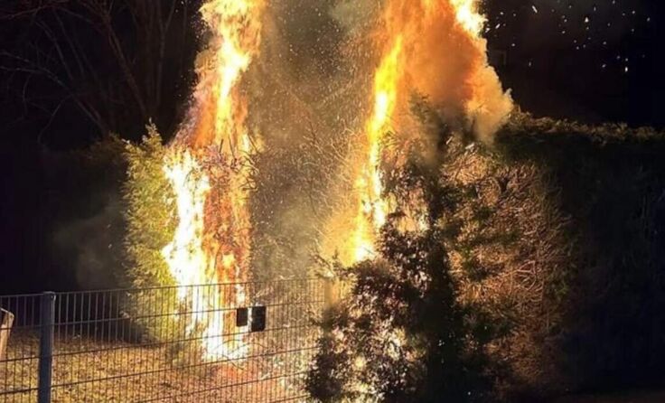  (Foto: FF Losenstein)