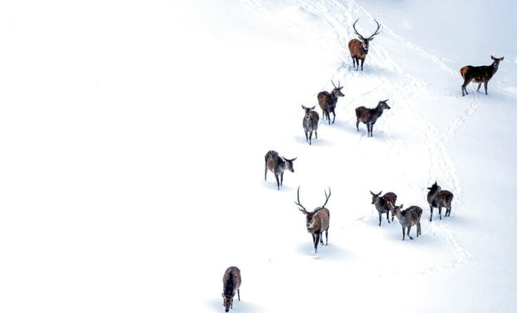 (Symbolfoto: Weihbold)