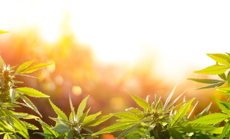  (Foto: Romolo Tavani/stock.adobe.com)