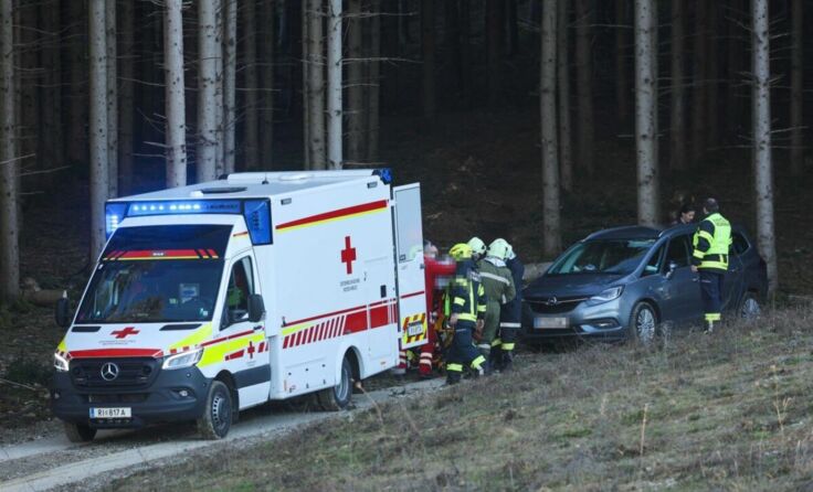 (Foto: Pressefoto Scharinger/Daniel Scharinger)