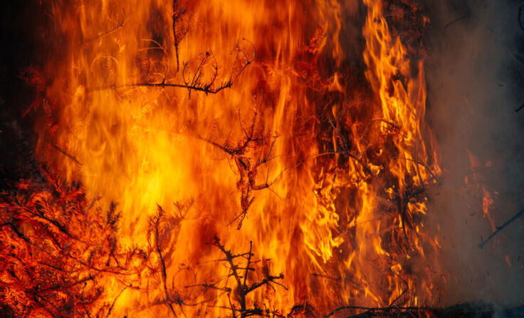 (Foto: Jonas/stock.adobe.com)