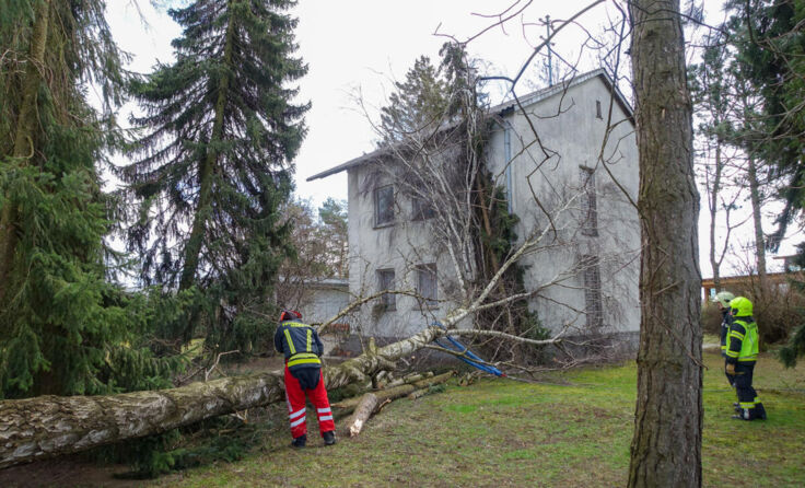 (Foto: Freiwillige Feuerwehr Hart)