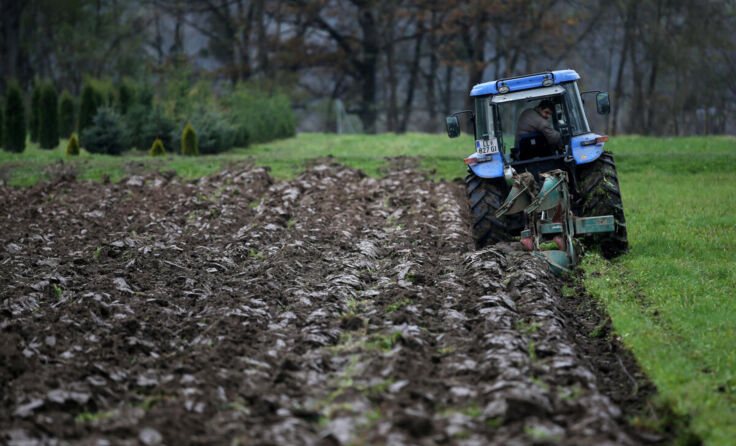 Symbolfoto Ackern (Foto: Weihbold)