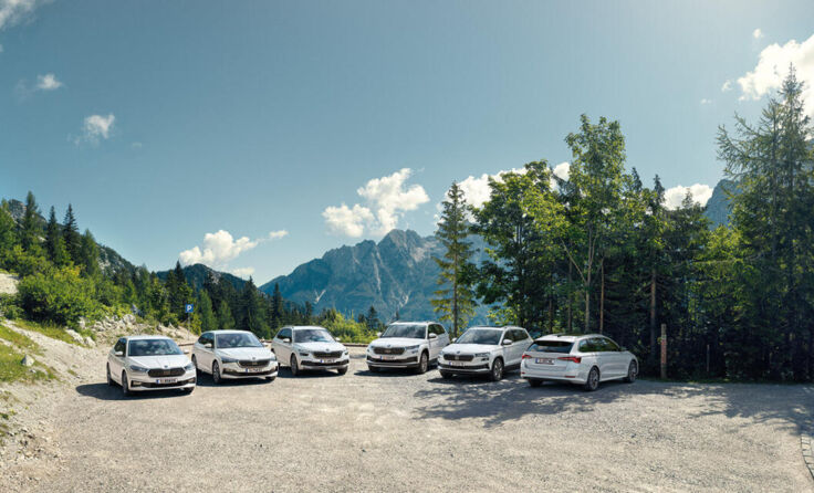Viele Modelle aus der Škoda Modell-Platte stehen für eine Testfahrt bereit. (Foto: Škoda)