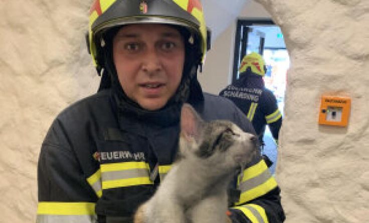  (Foto: FF Schärding)