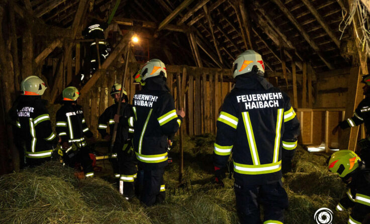  (Foto: TEAM FOTOKERSCHI.AT / SCHARTNER)