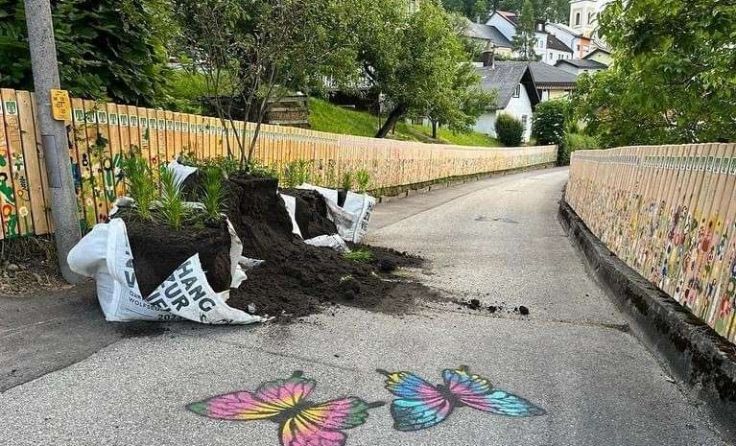 Foto: Gartenzeit