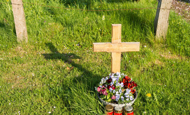 Symbolfoto (Foto: Christian Schwier/stock.adobe.com)