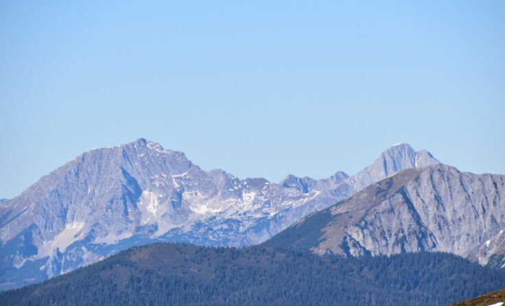  (Foto: Michael Martin/stock.adobe.com)