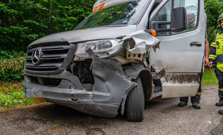  (Foto: TEAM FOTOKERSCHI.AT / RAUSCHER)