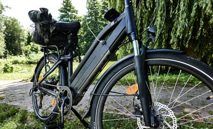 Symbolfoto E-Bike (Foto: Frank/stock.adobe.com)