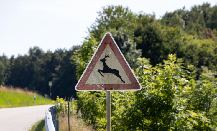 Symbolfoto Wildwechsel (Foto: FMI Fotografie Webdesign & Gaming/stock.adobe.com)