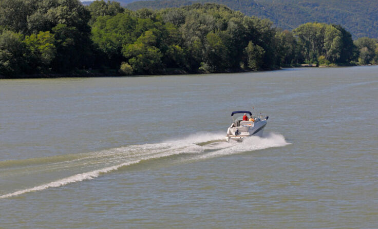  (Foto: fine pics/stock.adobe.com)