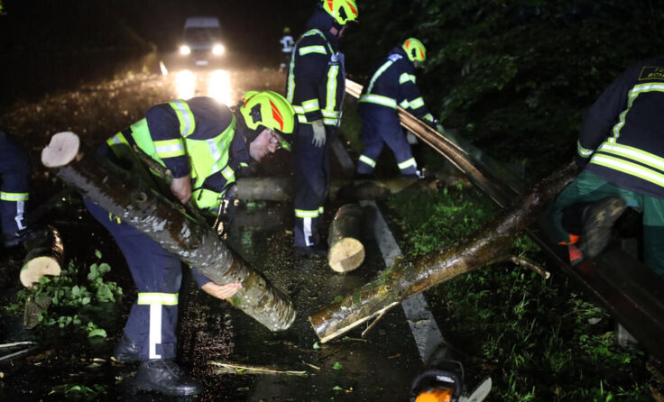 Baum über Straße in Schleißheim (Foto: laumat.at/Matthias Lauber)