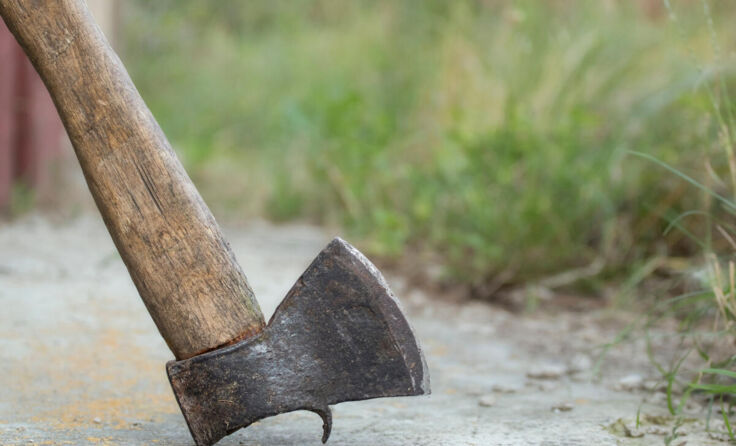  (Foto: Yuliya/stock.adobe.com)