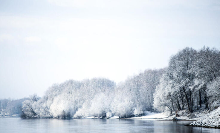  (Foto: Weihbold (Symbolfoto))