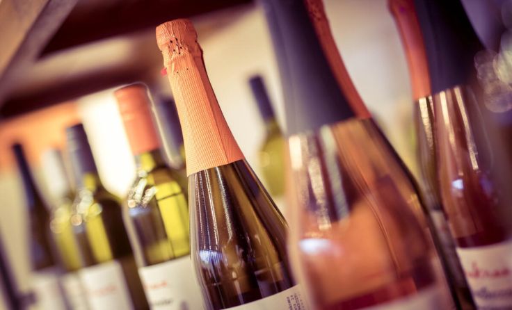 Weinmesse "Wein im Schloss" (Foto: VOGL-PERSPEKTIVE.AT/Mike Vogl)